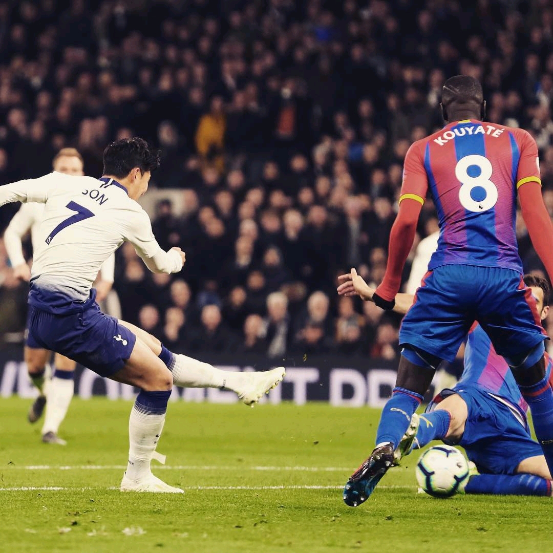 的惊人价格 的惊人价格