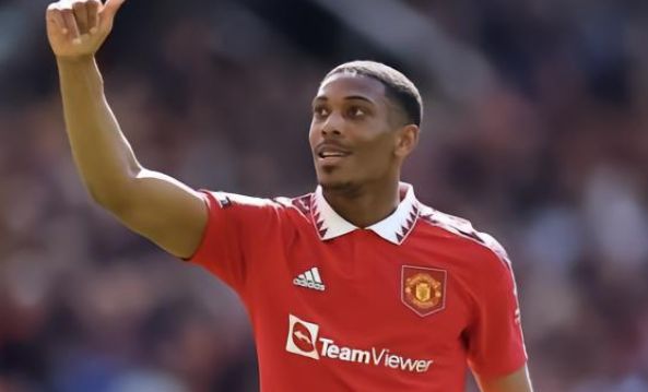 我们期待新 我们期待新